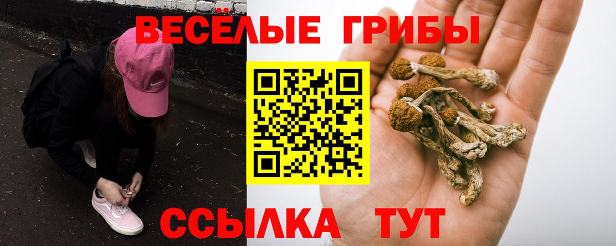 Галлюциногенные грибы Cubensis Каспийск